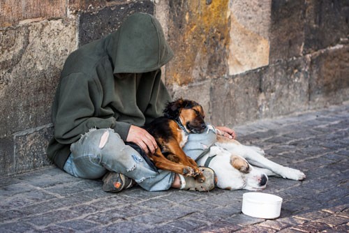 Homeless man with two dogs.